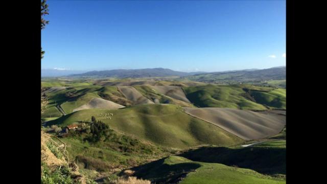 Tuscany & Silence Apt Country View In Terricciola Wifi 아파트 외부 사진